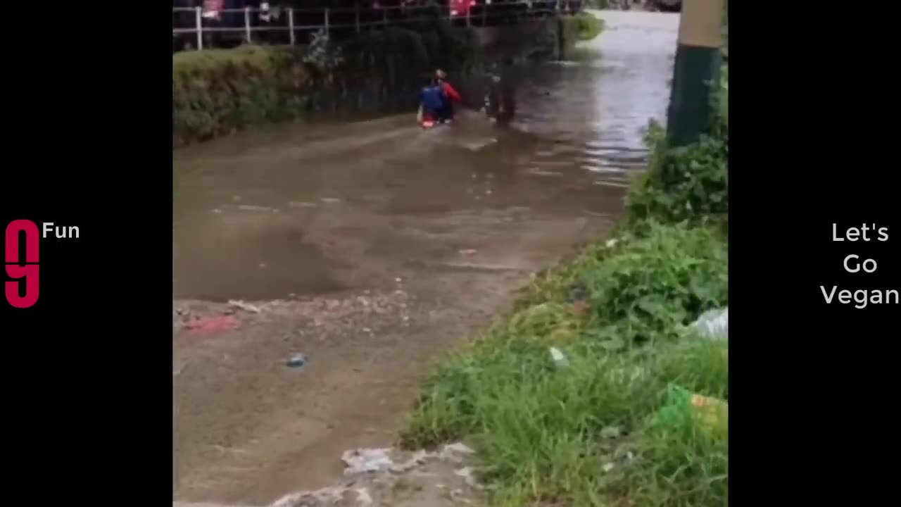 TRY NOT TO LAUGH##BEST FUNNY Videos Compilation##