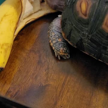 Is there something on my face?