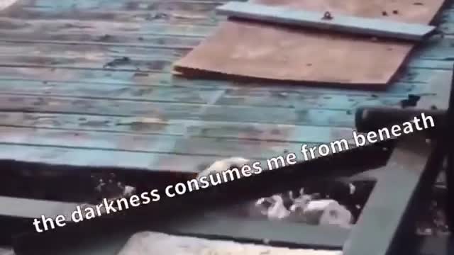 When you think you can make it but...