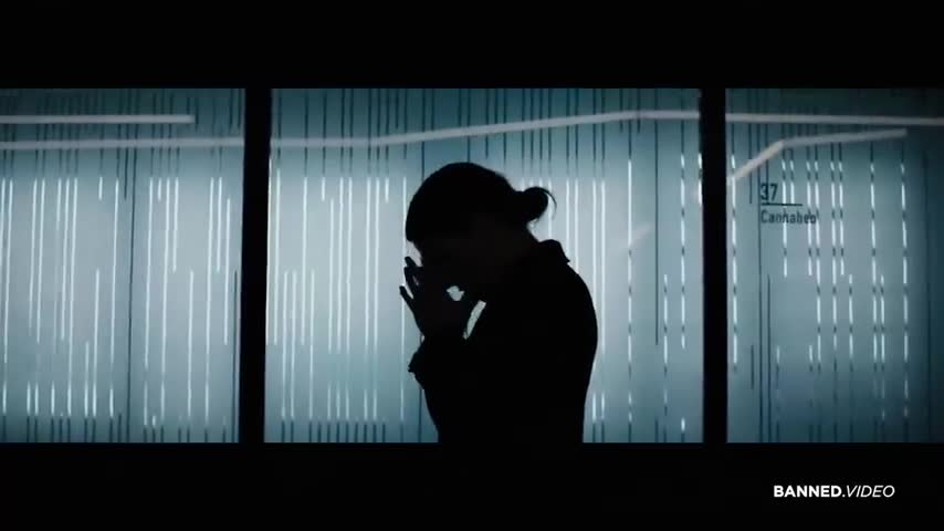 Invasion of The IRS!