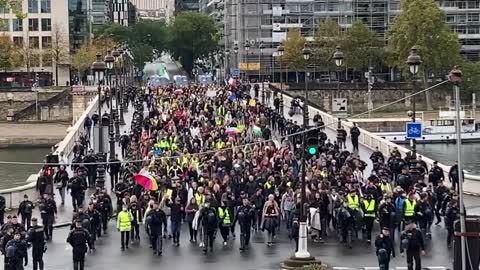 The French refuse to give up, 16 Saturdays in a row!