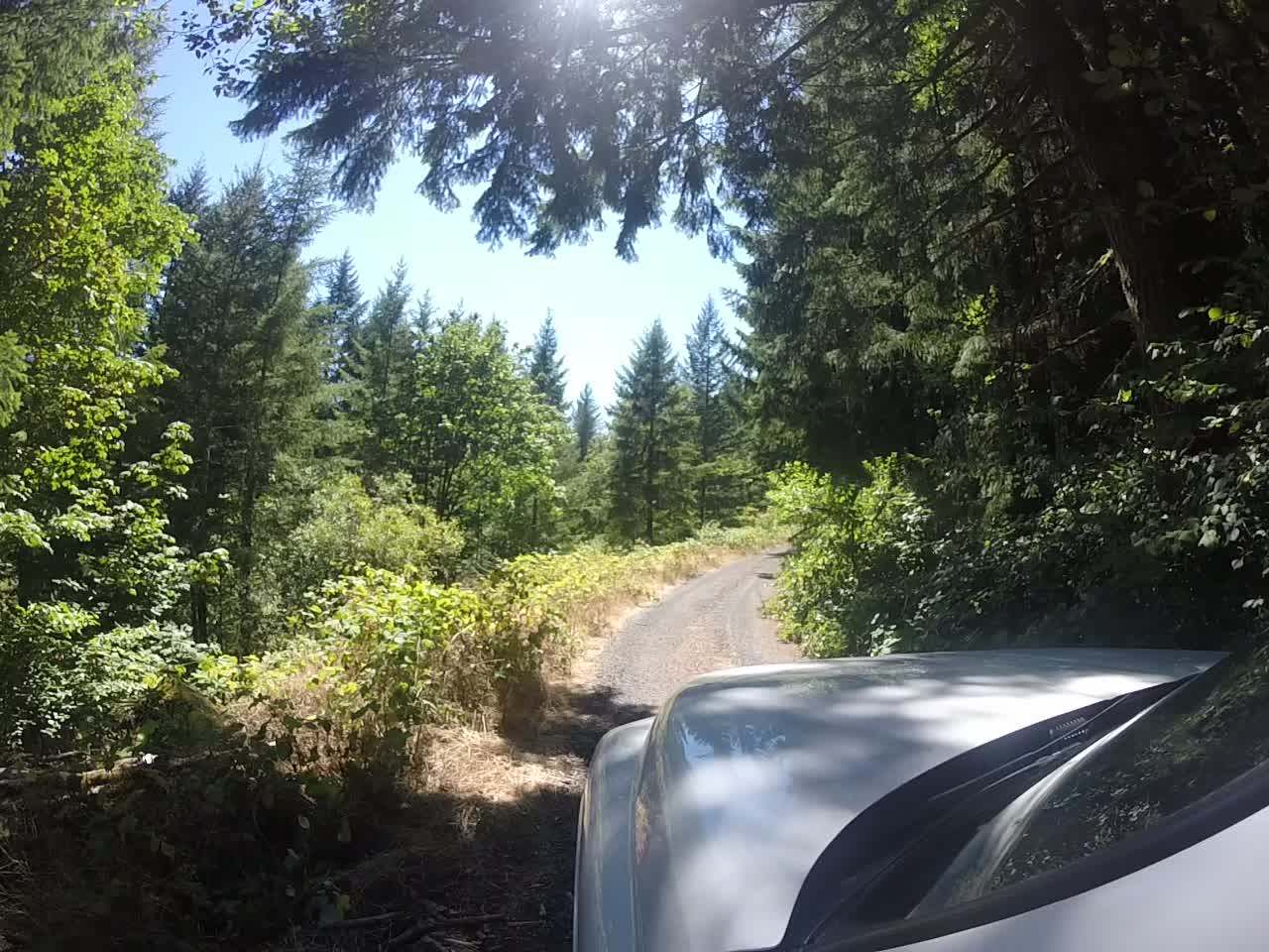Heading up into the hills.