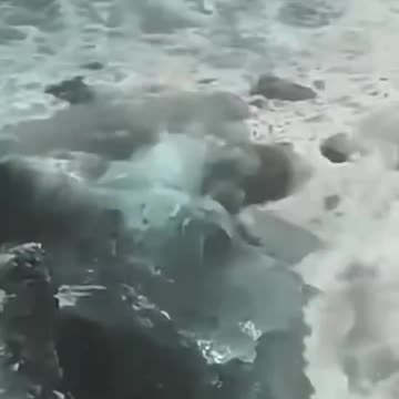 Leviathan is real folks