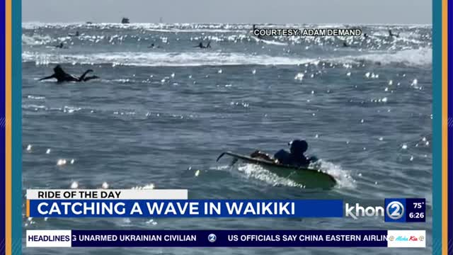 Sammy catching a wave in Waikiki