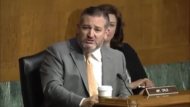 Ted Cruz EVISCERATES Kamala Harris For Refusing To Visit The Border