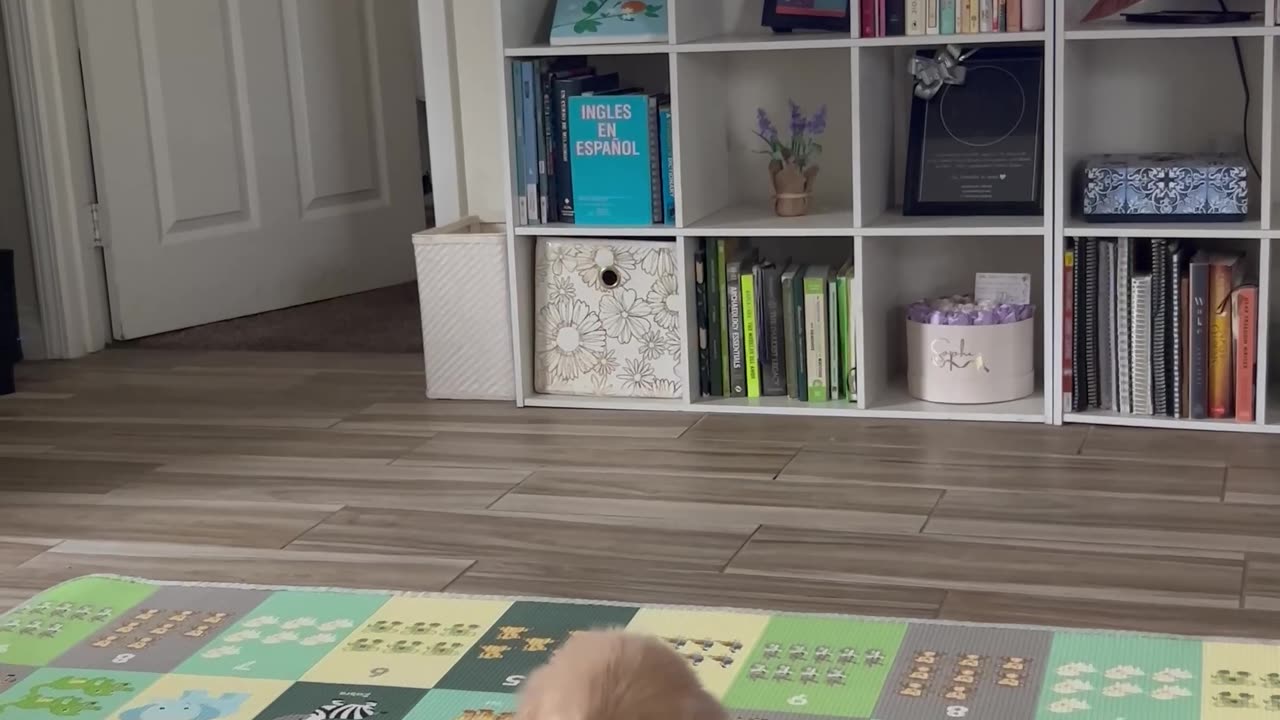 Puppy Tucks In Brother For Bedtime