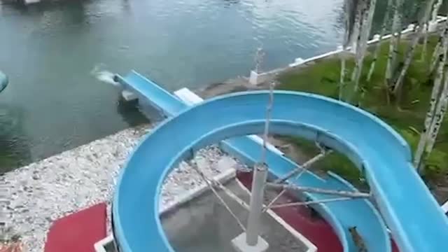 Hilarious Little Pup LOVES Giant Waterslide! #Dogs #Shorts