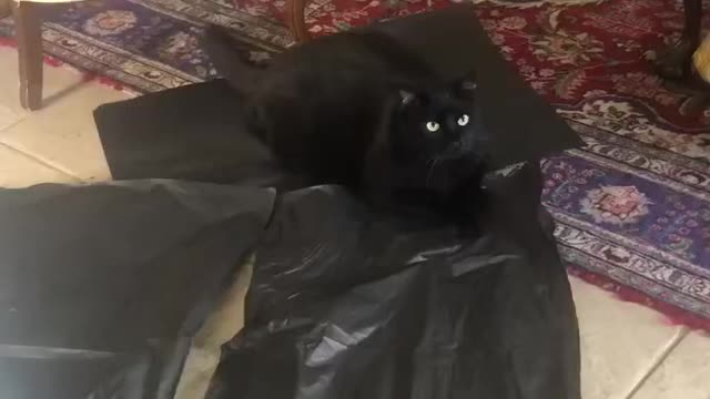 Tissue Paper & Laser Beams