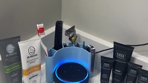 Alexa Bathroom Organizer