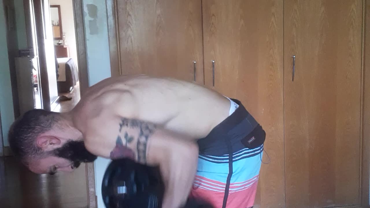 Back Row 64kg(32kg/32kg) - 141lbs(70.5lbs/70,5lbs)