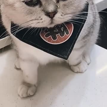 He looked at the onion and cried