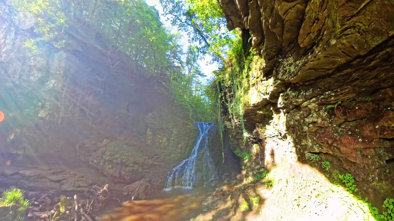 Hareshaw Linn Magical woodland walk to the waterfall