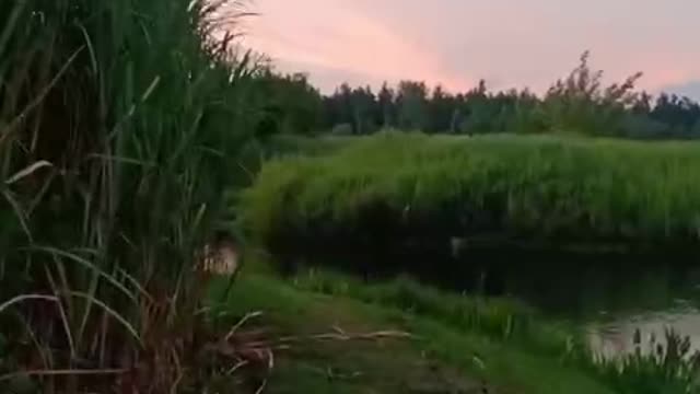 Lakeside, lakeside, and horizon all in one