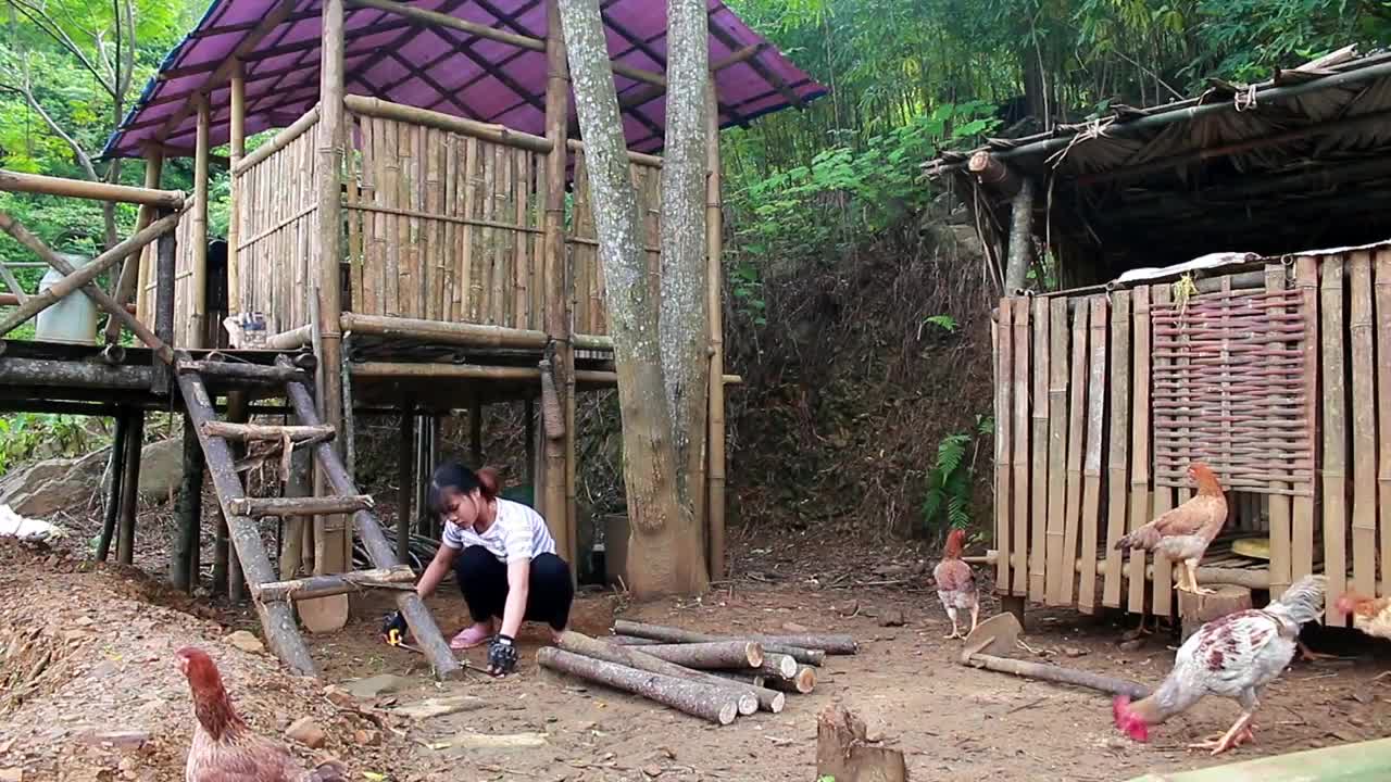 Build a bamboo house for dogs, live in harmony with nature | Camping