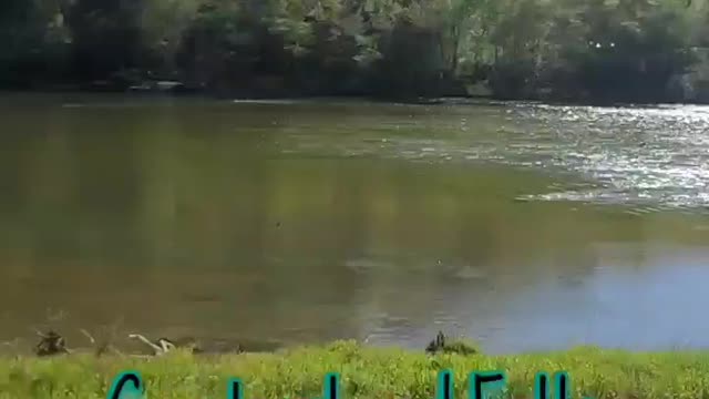 Fam trip to cumberland falls