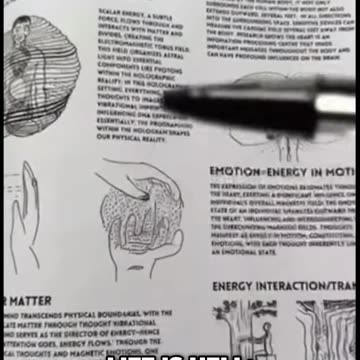 Harness Your Emotions: Create Your Reality Today