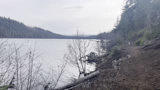 Mountain Lake & Forest Shoreline Trail of Suttle Lake – Central Oregon – 4K