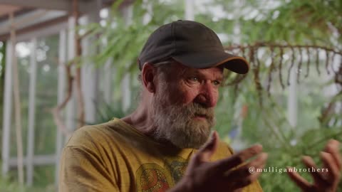 Mulligan Brothers Documentary - Big Pharma vs. Wim Hof