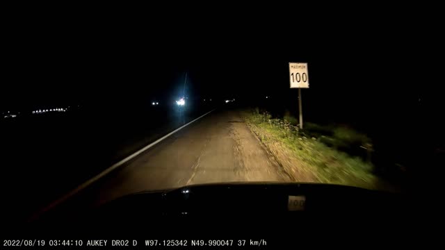 Raccoon meets bumper at 100kph