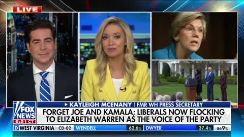 Kayleigh McEnany: Elizabeth Warren is a ‘dark horse candidate’