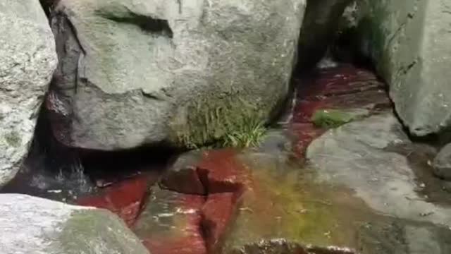 The red rock washed by the stream has a special flavor