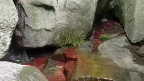 The red rock washed by the stream has a special flavor