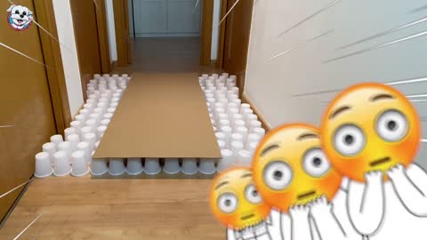 Reto EXTREMO para PERROS: El Camino IMPOSIBLE de VASOS 😵🐶 Anima Dogs