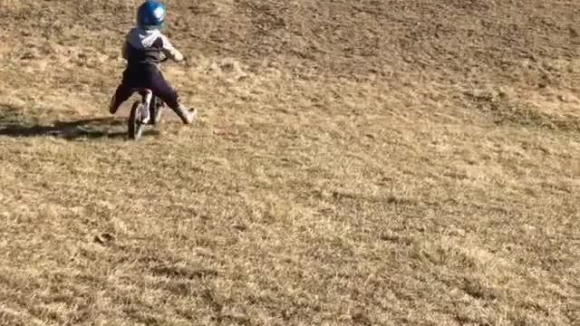 Collab copyright protection - blue helmet baby bike grassy hill