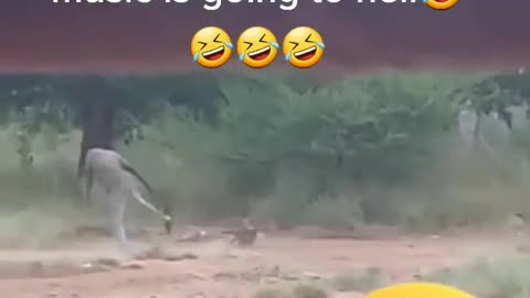 you laugh u go to hell