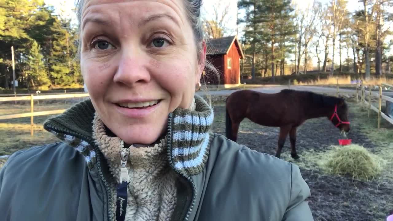 No 3 Longeing pony first time