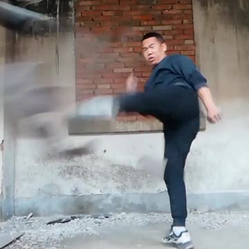 Chinese Kung Fu, is it great?