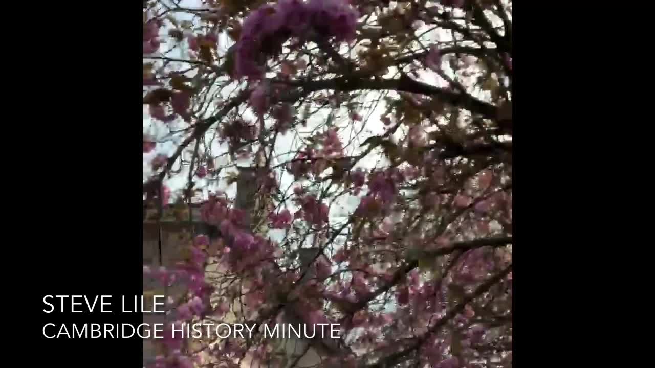 Cambridge U History Minute with Steve Lile