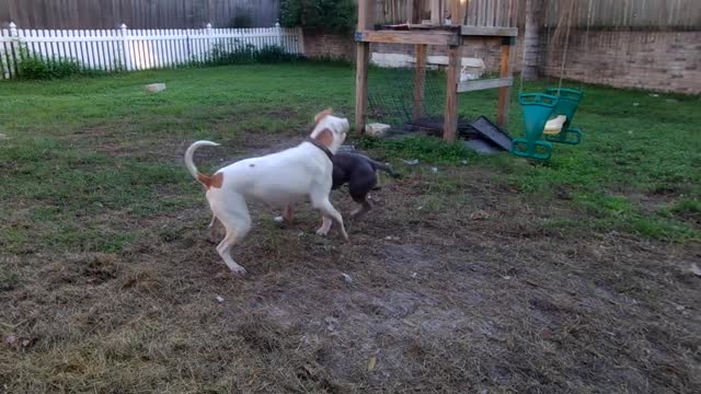 Jubilee and Abby