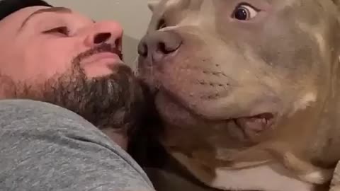 This pitbull did it and guess what happened?