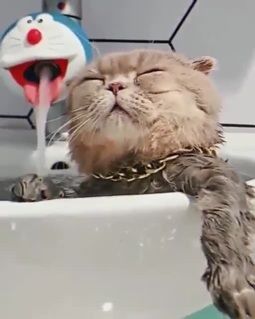 How good it is to live in this world!)До чего ж хорошо жить на белом свете!):