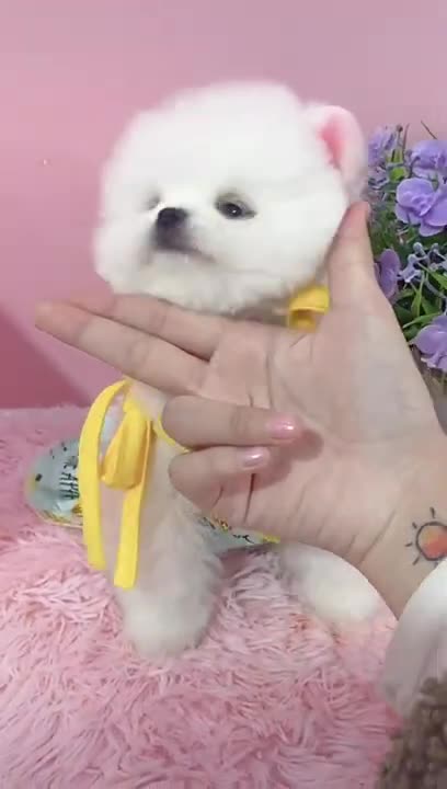 Play my favourite Style Check it #rumble