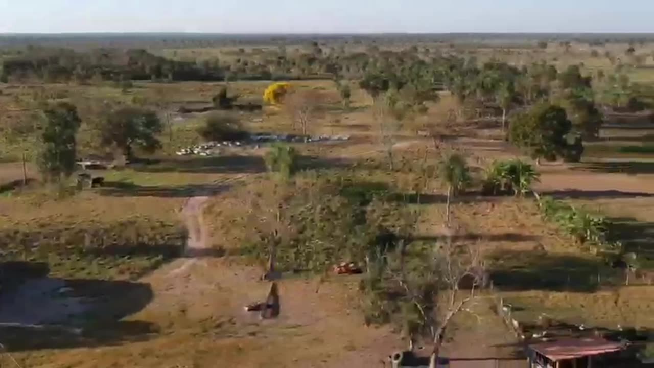 Operação Intocável 3