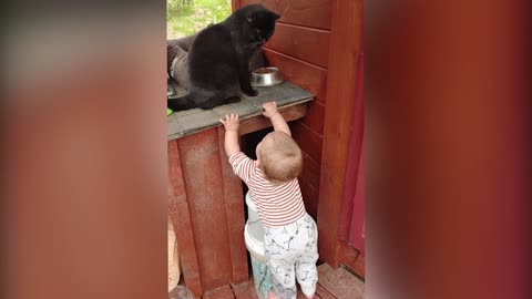 CATS AND BABY CUTENESS