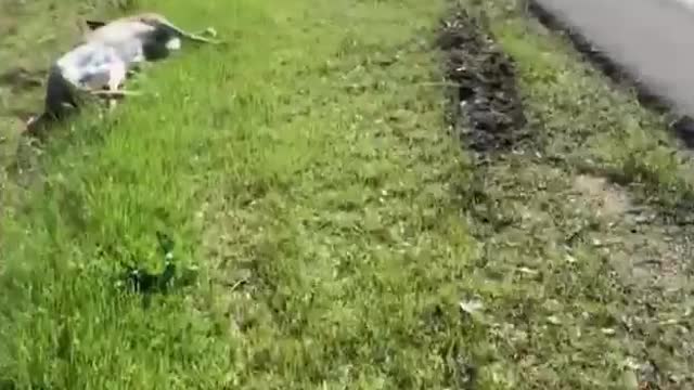 Wait! You passed him