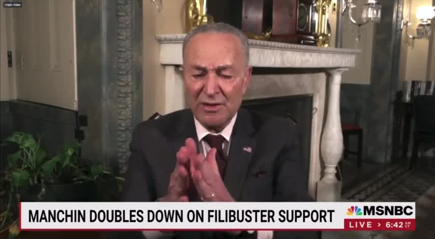 Schumer Admits Democrats Are Terrified of Losing Midterms