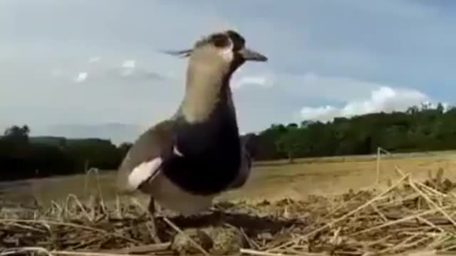 She Didn't move because She Is a Mother
