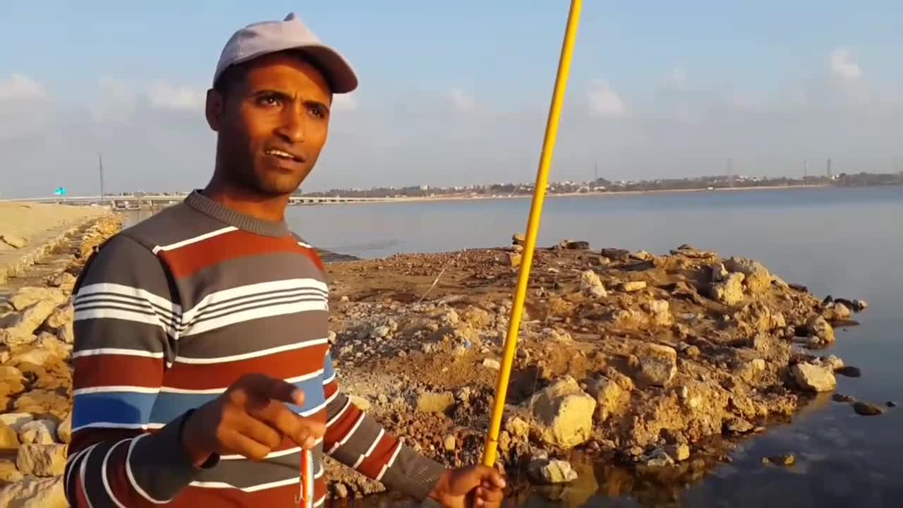 The Most Important Types Of Calibres And Movements Are Taught To Catch Seabass And Meager Fish