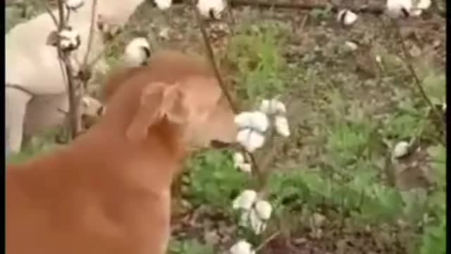 So funny