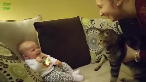 Funny Babies Laughing Hysterically at Cats Compilation
