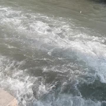 The great Euphrates River in Iraq is the largest estuary of this river