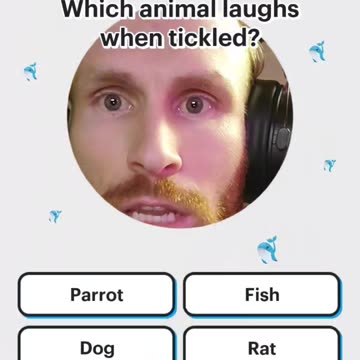 Let's Test My Random Animal Knowledge :)
