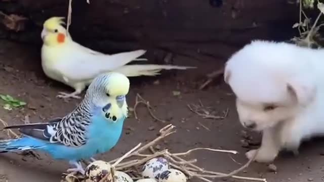 Omg so absolutely adorable