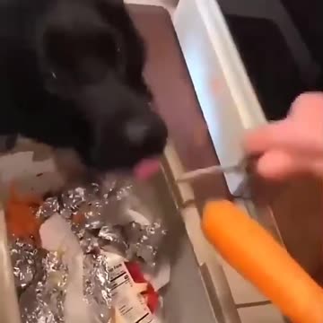 My best kitchen helper hehehe