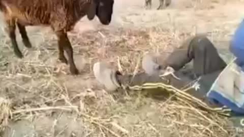 God And Man Fight Verry Funny Comedy Video