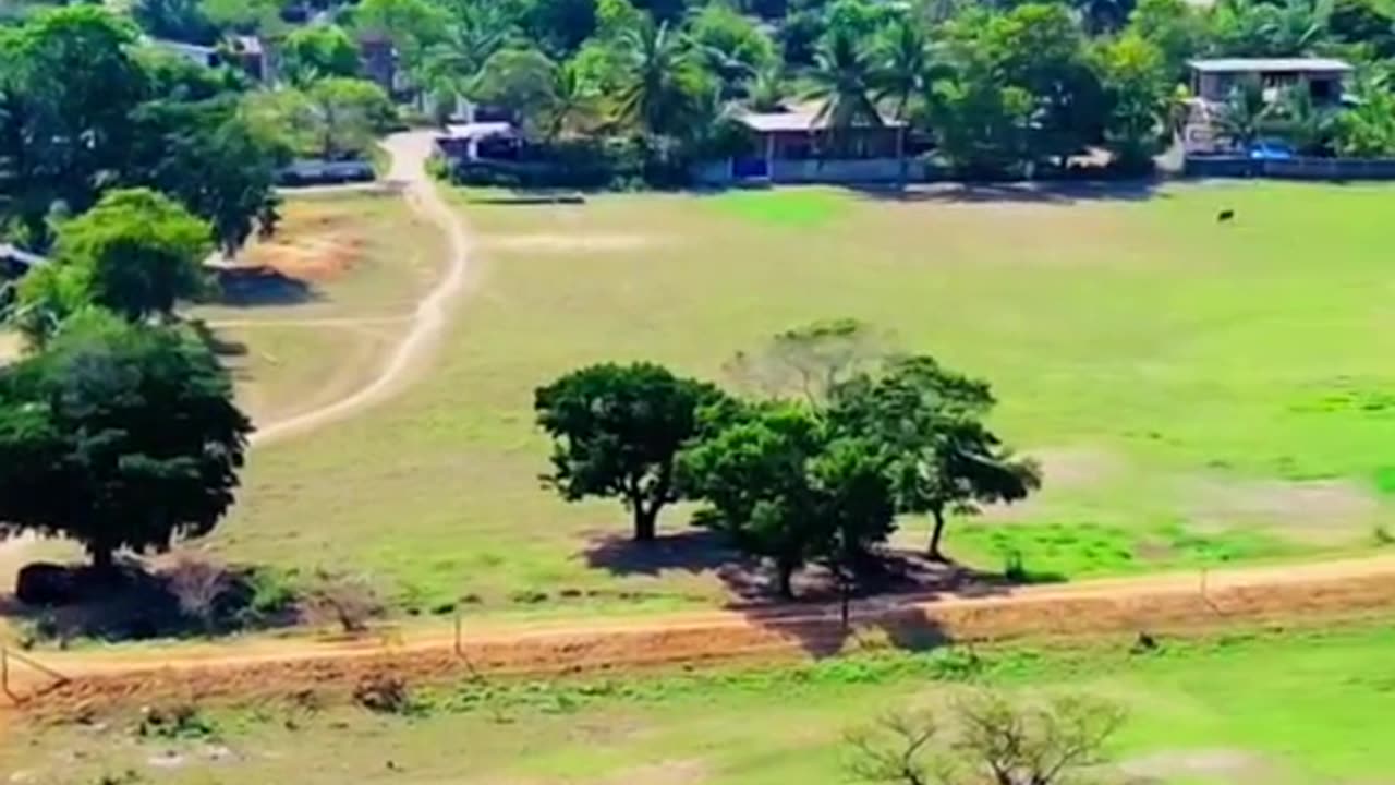 A Glimpse of Paradise – Polonnaruwa’s Serene Village Life ☘️🥰